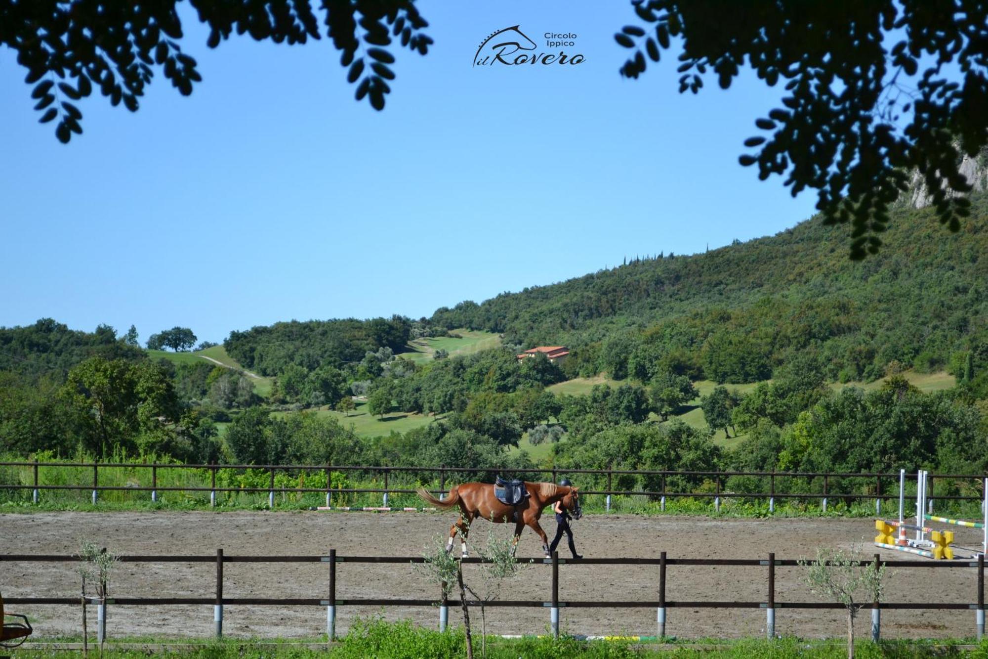 Il Rovero Apartment Castion Veronese Luaran gambar